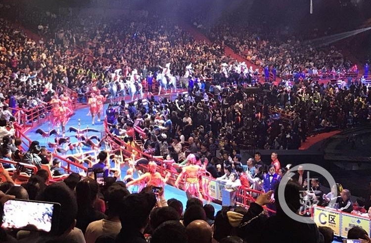 天南地北过大年丨广州长隆,超炫大马戏让人目不暇接