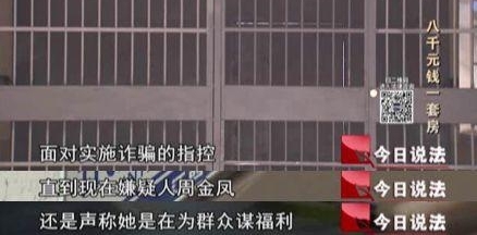 8000元钱1套房,上千人前来购买!骗局揭开,她却声称是在做好事……