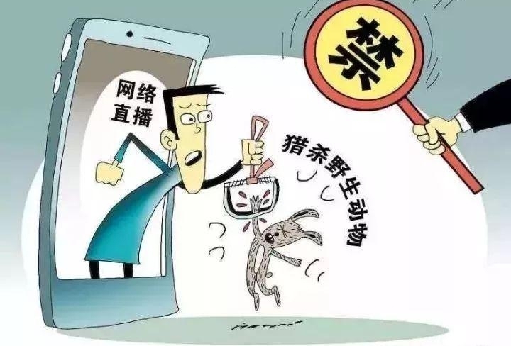 作死!广西一男子直播炫耀自己捕猎的野生动物!