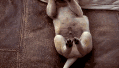 ��ļ������㣡���꽵����������������ע����Щ����