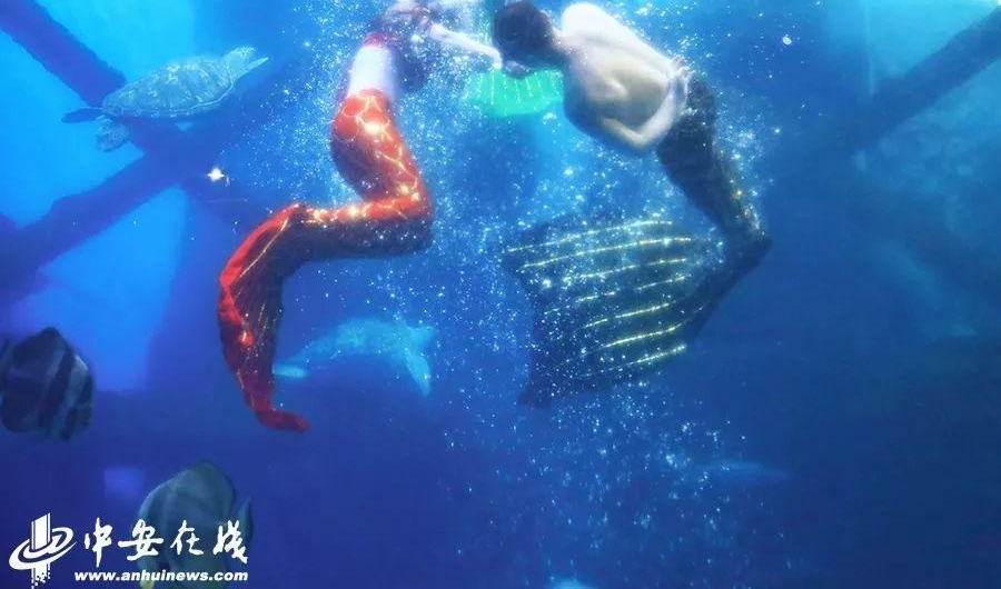 ������Ÿտ�ʼ���Ϸʺ�������ͱ����߶����ˣ�