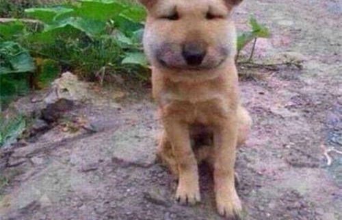 ����Щ����۸������ˬ��ֻ��ũ����������ˣ�����ë���Ȼ��