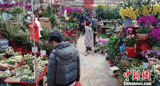 春节临近年味渐浓 西安民众花市购“浪漫年货”