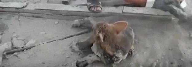 С��Զ����ֻС��ſ��·�桰ɹ̫�������߽�����һĻ������ŭ
