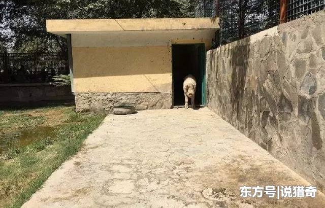 Ψһ��������30�ﳤ�������ڵ�230�
