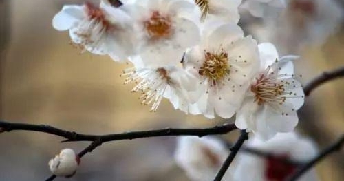 ׷˼������������������շ�չ����ѧ�о������
