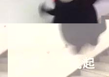 ����Ѷ�����ڳ��С��ض¡������ɽ���ܶ£�