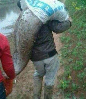 ��Щ�����˾�Ȼ�����������㣬��ֱ̫������Ľ�ˣ�