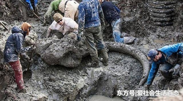 男子在家挖泳池,意外收货的东西,所有人能看呆了