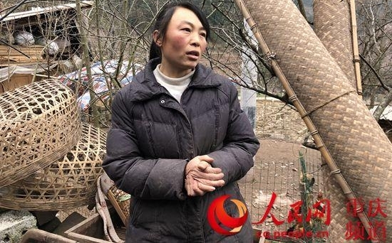 特色产业鼓起“钱袋子”前胡田里说丰年
