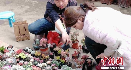 春节临近年味渐浓 西安民众花市购“浪漫年货”