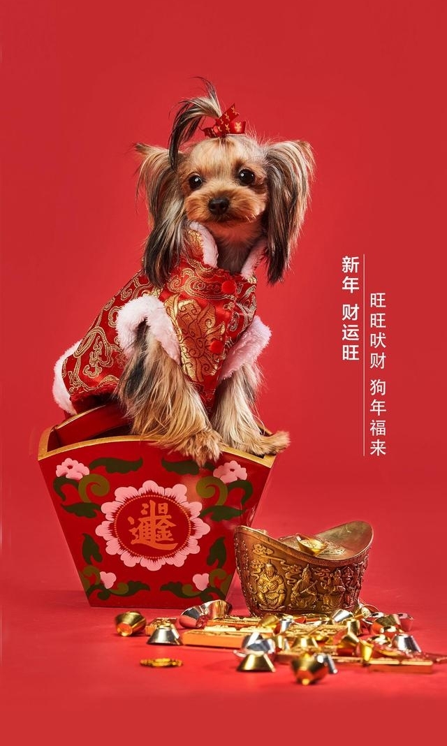 ��ԭ����������д��2018���ڵ���ζ���㡰��ǮûǮ����������