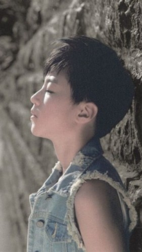 TFBoysԴ˧д桡ֻֽ