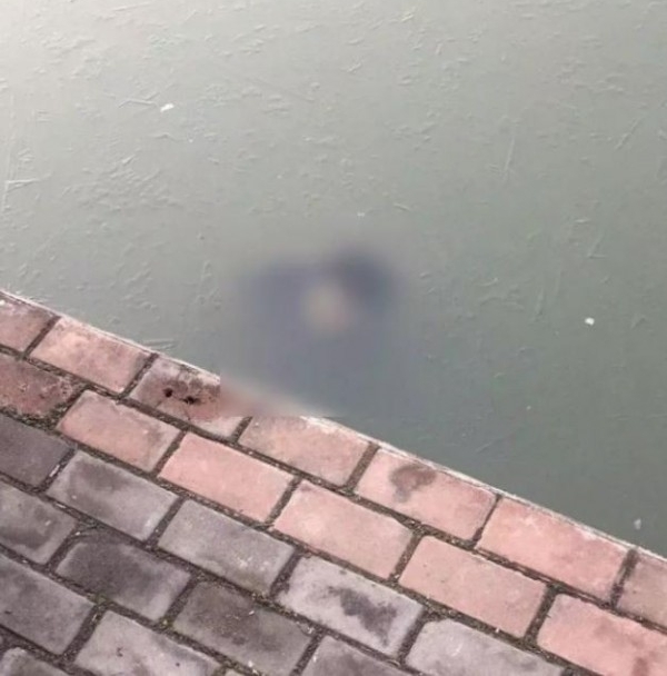 ���磡��Լ������������ˮ���������Ů�⡸���⡹������