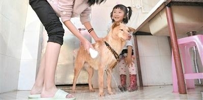 5��С�幤 �����谮�ġ����ˡ�