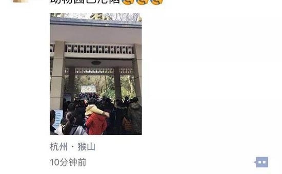 年初二西湖开启人从众模式 六公园上厕所要等20分钟