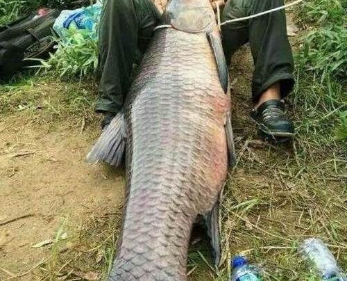 ��Щ�����˾�Ȼ�����������㣬��ֱ̫������Ľ�ˣ�
