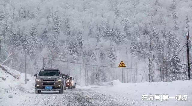 2018������ôȥѩ�磿�������δ��ֱͨ����VIPС����ֱ��