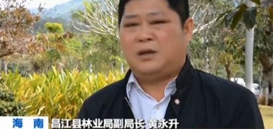 【新春走基层·幸福都是奋斗出来的】陶凤交和她的绿色娘子军