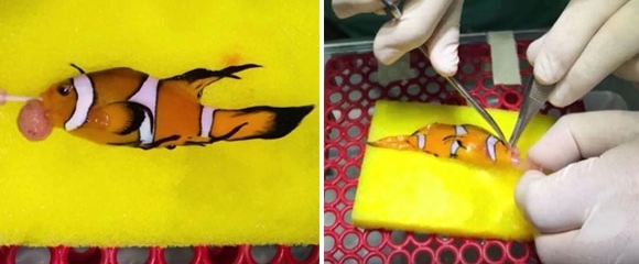 ����ͼ�㣺����Գֵ����ӿ�ǹ˲��