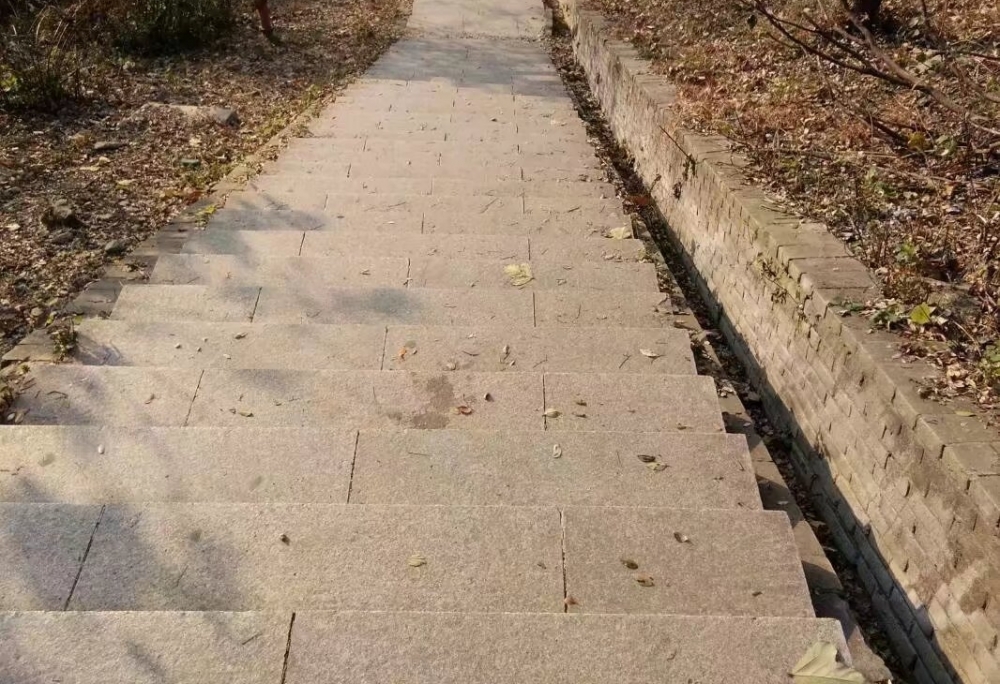 继母将继女带进山谷里,扔下继女就走,结果被滚落的石头砸死