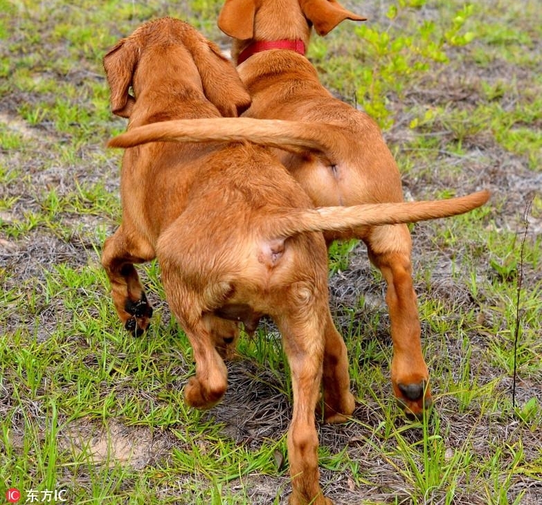 ����ϵ���飡С������������ů������