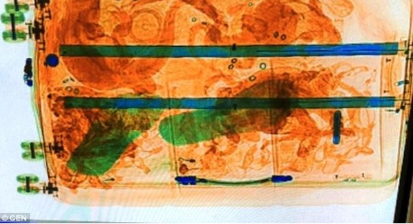 乘客携带大量活体生物被查,其中市场价高达54万