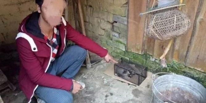 作死!广西一男子直播炫耀自己捕猎的野生动物!