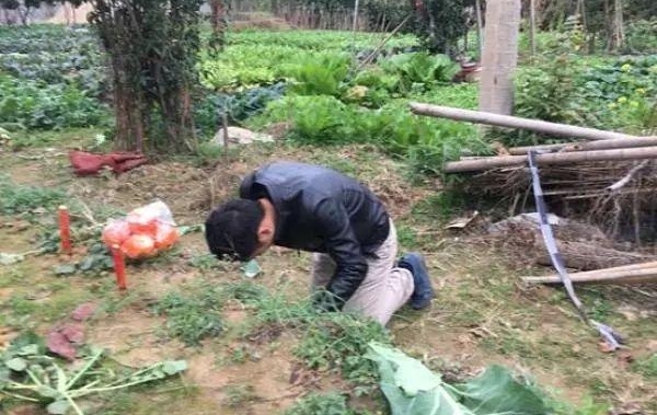 ȫ���޾���Ѻ�ͣ�34�����̽���ﷸ׼��ؼ�