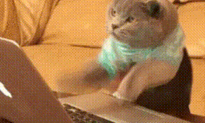 ��ļ������㣡���꽵����������������ע����Щ����