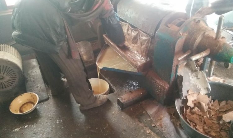 农民带着自家的花生去榨油!为什么不用给加工费老板还倒给你钱?
