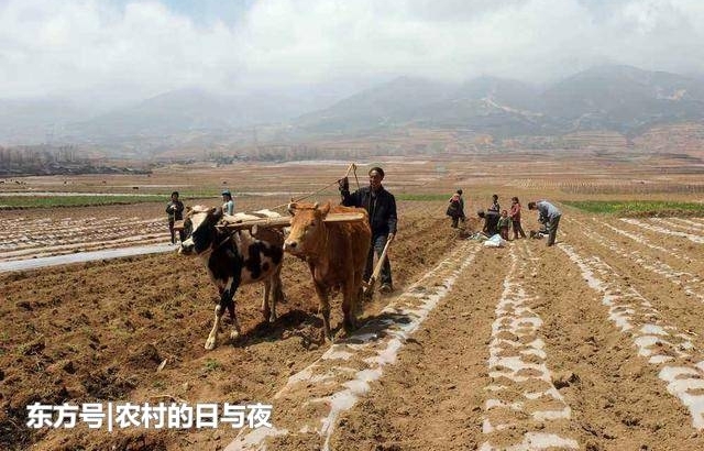 ũ�廯��ƭ���ٳ����У����һ��Ҫ�����۾�ʶ�𣬲�Ҫ���ϵ��ˣ�