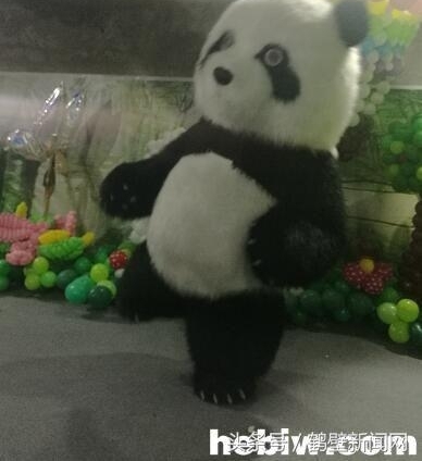 ���Ӵ���������è���޹������� ��Ϊ����һ�����ڴ���̫�á�