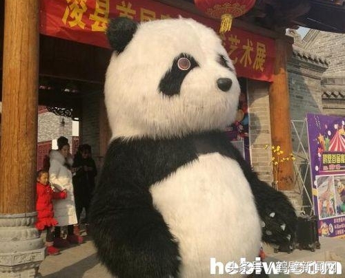 ���Ӵ���������è���޹������� ��Ϊ����һ�����ڴ���̫�á�