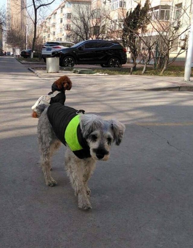 �����žۣ������Ӻ�--�鷨������������������С�۰���