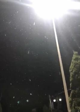 Ȫ����Դɽ��ѩ�ˣ��ϴ���ѩ����153��ǰ���峯