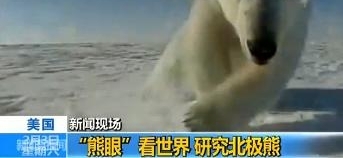 特别拍摄:“熊眼”看世界北极的另一个模样