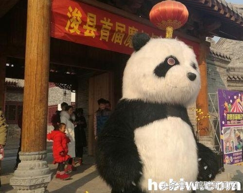 ���Ӵ���������è���޹������� ��Ϊ����һ�����ڴ���̫�á�