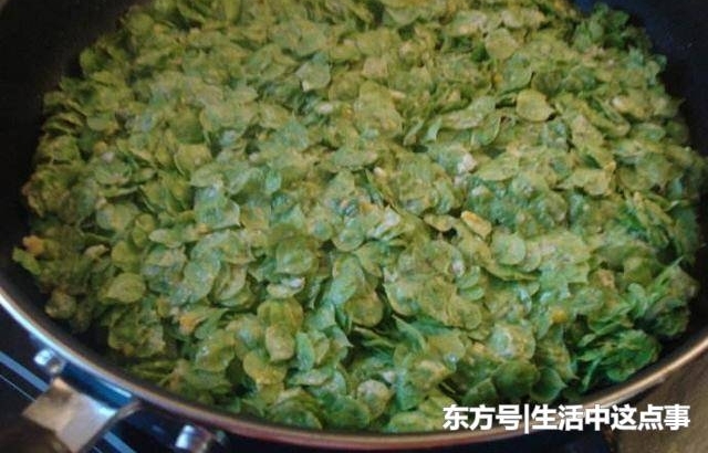 农民以前天天吃的野菜野果,摇身一变成为城市人的心头好!