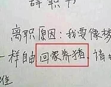 ��������벻��������? ����10���ϰ��޷��ܾ����������!