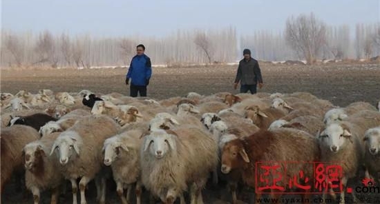 �½������أ���������ġ����ġ��ֵ�
