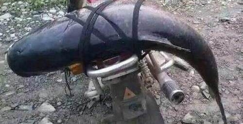 ��Щ�����˾�Ȼ�����������㣬��ֱ̫������Ľ�ˣ�