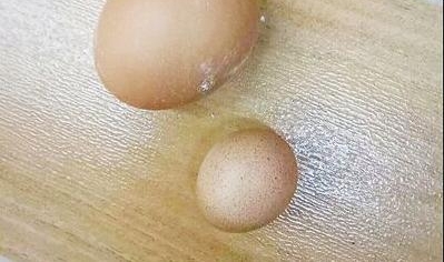 漯河一市民超市买到超小鸡蛋 网友:没见过,跟鹌鹑蛋一样