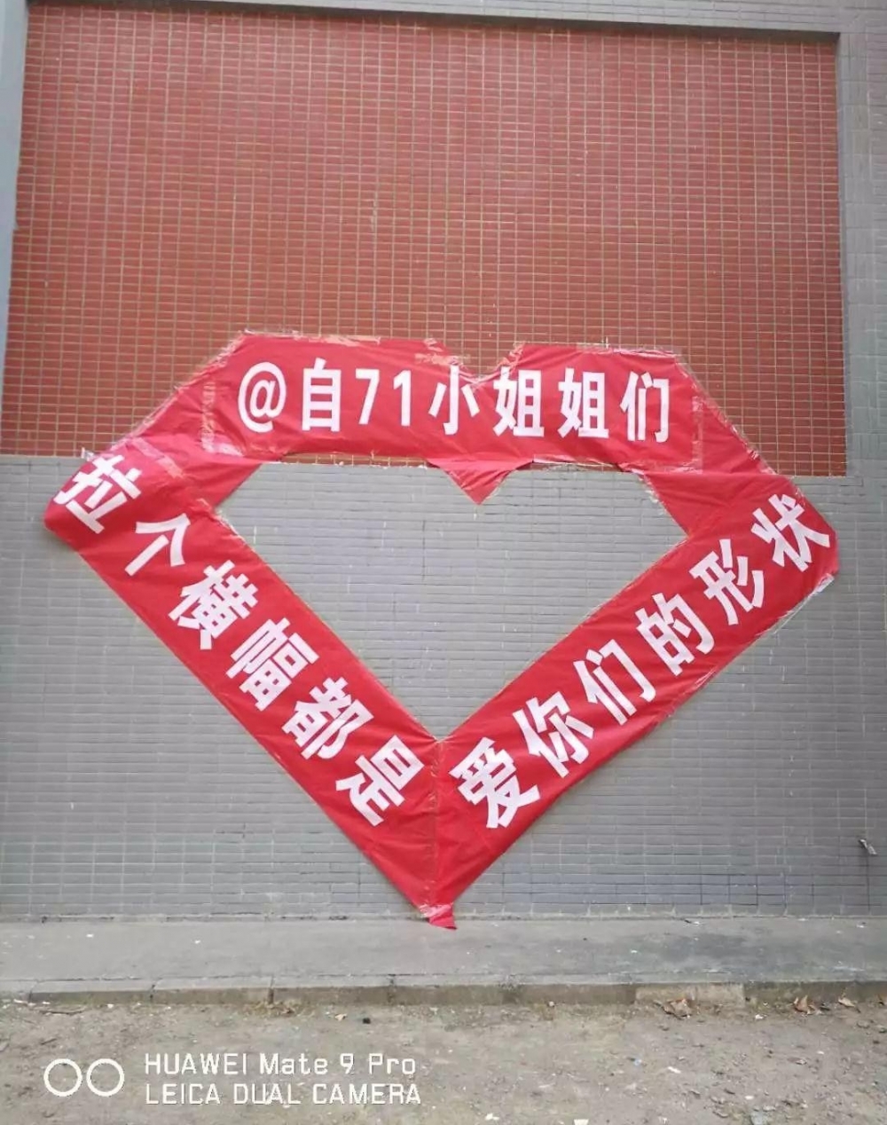 Ů���������ӣ��廪������Ҳ��û˭��!