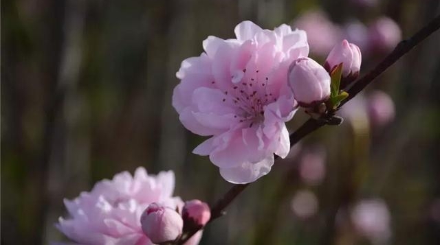 û���Ķ仨�ܽ���ס  ��������  �ⳡ���µ�����