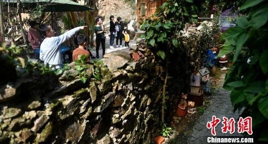 闽南“灰姑娘”隐居山林:“童话”要靠双手打造