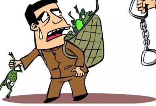 ũ������ע�⣬�������ص㱣�����������ȥץ����������ܱ�ץ