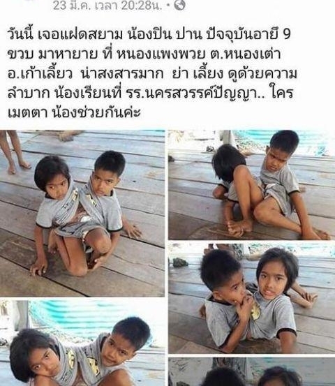 ̩����зʽ����·������˫��̥ 9 ���� ���Էֱ�� 1 �͵� 2��