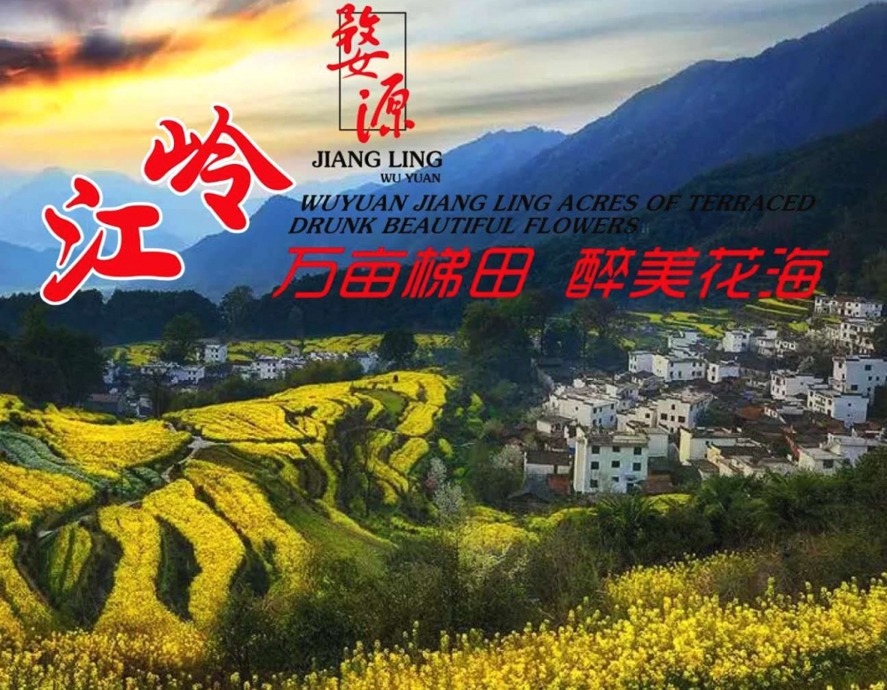 ������Դ���룬����Ķ���ﻨ��