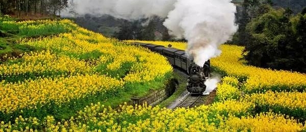 成都周边春色最撩人的8个地方,美到少女心炸裂!